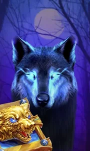 Book Of The Night Wolf